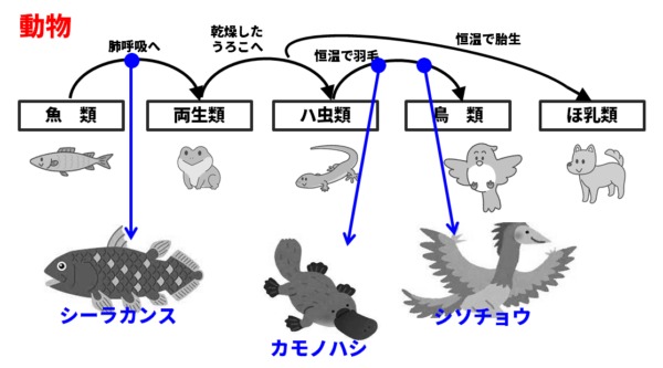 動物の進化の過程図